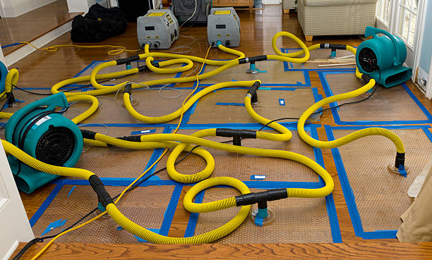 Professional Emergency Water Removal technician working in Eden, TX